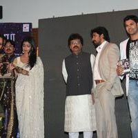 Chandra Audio Launch Pictures | Picture 396068