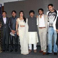 Chandra Audio Launch Pictures | Picture 396069
