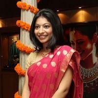 Anuja Iyer at Swarna Sangeetham Season 2 Pictures | Picture 368181