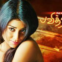 Pavithra Movie Hot Wallpapers | Picture 418048