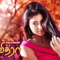 Pavithra Movie Hot Wallpapers | Picture 418049