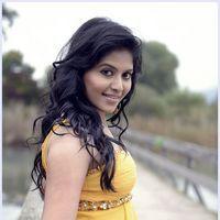 Anjali (Actress) - Settai Movie Hot Stills | Picture 419723