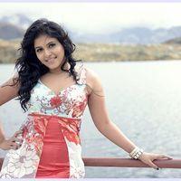 Anjali (Actress) - Settai Movie Hot Stills | Picture 419769