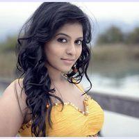 Anjali (Actress) - Settai Movie Hot Stills | Picture 419783