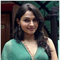 Andrea Jeremiah - Puthiya Thiruppangal Audio Launch Pictures | Picture 419976
