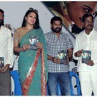 Puthiya Thiruppangal Audio Launch Pictures | Picture 419985