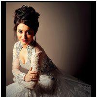 Actress Ragini Nandwnai Hot Stills | Picture 420474