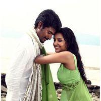 Ethir Neechal For Anu Andaman Song Stills | Picture 420455