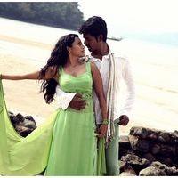 Ethir Neechal For Anu Andaman Song Stills | Picture 420465