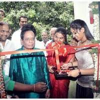 Rajesh Vaidya Ravna International School of Veena Inauguration Photos