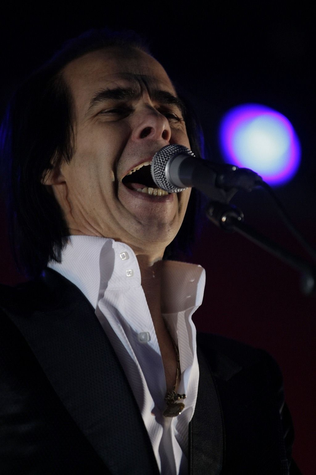 Nick Cave and Grinderman performing at annual 'Homebake' Australian music festival | Picture 134377