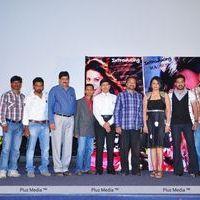 Madhoo in Yo Baby album launch - Pictures | Picture 134165