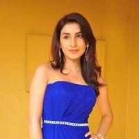 Parul at Satya Vidura Movie Opening - Pictures | Picture 135393
