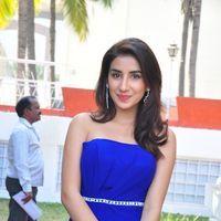Parul at Satya Vidura Movie Opening - Pictures | Picture 135404