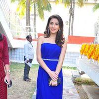 Parul at Satya Vidura Movie Opening - Pictures | Picture 135411