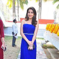 Parul at Satya Vidura Movie Opening - Pictures | Picture 135414