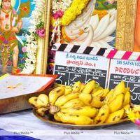 Satya Vidura Movie Opening - Pictures | Picture 135126