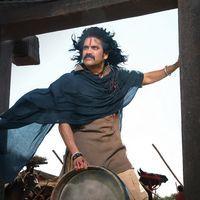 Nagarjuna Akkineni - Rajanna Movie Stills | Picture 138793