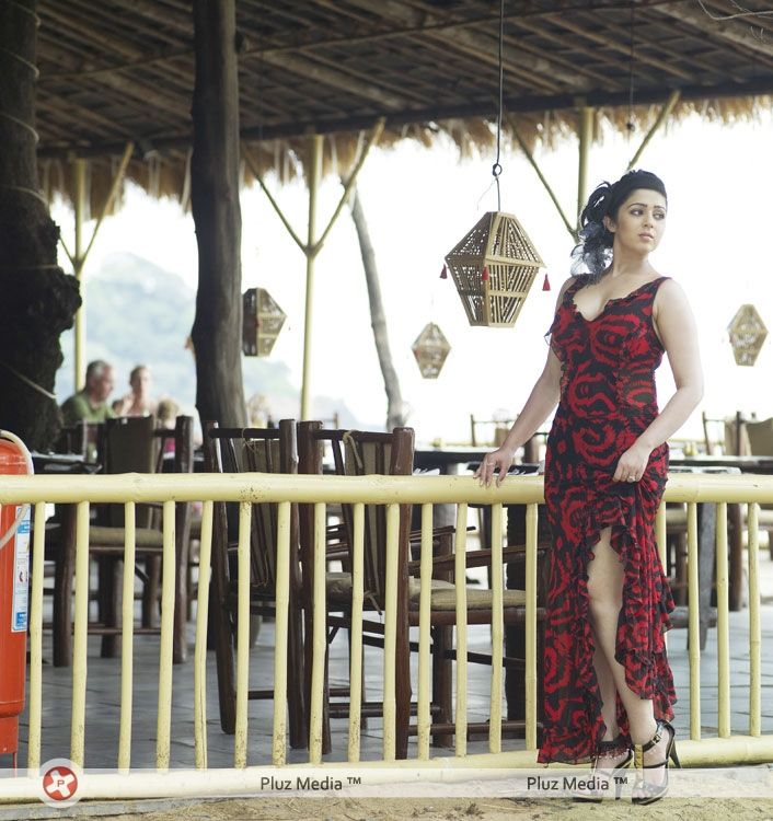 Charmy Kaur - CCL Calander 2012 - Pictures | Picture 139214