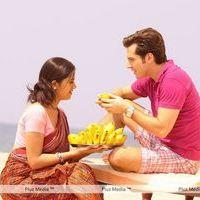Italy Abbai Kerala Ammayi Movie Hot Stills | Picture 138935