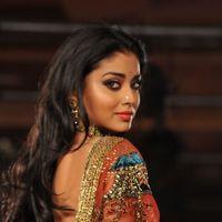 Shriya Saran - Celebs At Hyderabad International Fashion Week 2011 - Pictures | Picture 139379