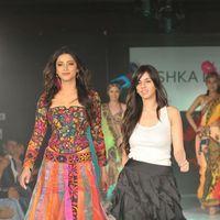 Celebs At Hyderabad International Fashion Week 2011 - Pictures | Picture 139382