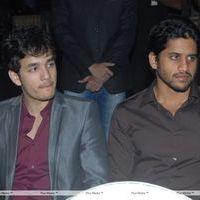 ANR Awards 2011 - Pictures | Picture 143413
