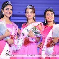 Stars At Dabur Gulabari Miss Rose Glow South 2011 - Pictures