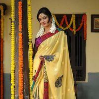 Vimala Raman - Kullu Manali Movie Stills | Picture 143443