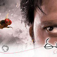 Eega Movie New Wallpapers | Picture 184421