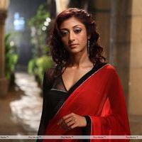 Paoli Dam - Hate Story Movie Hot Stills | Picture 187792