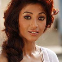 Paoli Dam - Hate Story Movie Hot Stills | Picture 187808