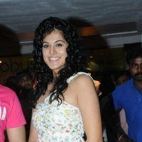 Taapsee Pannu - Tapsee promotes Daruvu movie at City Center - Pictures | Picture 189374