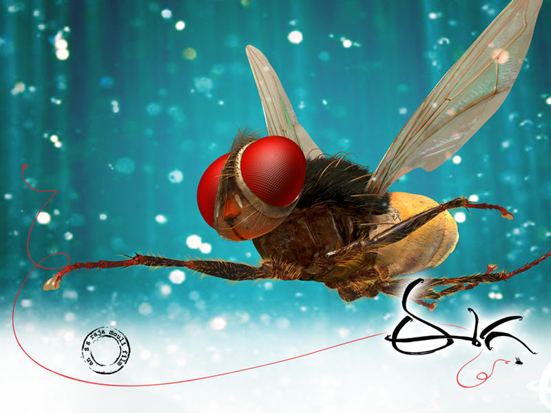 Eega Latest Posters | Picture 190189