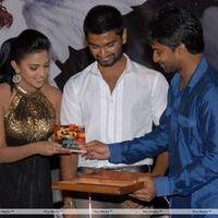 Nirantharam Nee Oohalo Audio Release Pictures | Picture 242457