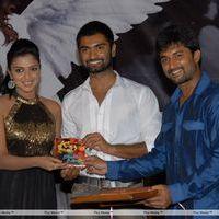 Nirantharam Nee Oohalo Audio Release Pictures | Picture 242476