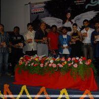 Nirantharam Nee Oohalo Audio Release Pictures | Picture 242481