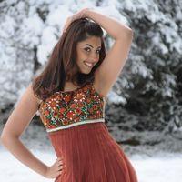 Richa Gangopadhyay New Photos Gallery | Picture 242725