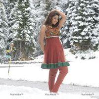 Richa Gangopadhyay New Photos Gallery | Picture 242731