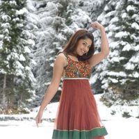Richa Gangopadhyay New Photos Gallery | Picture 242734