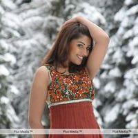 Richa Gangopadhyay New Photos Gallery | Picture 242735