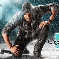 Julayi Movie Latest Wallpapers | Picture 245082