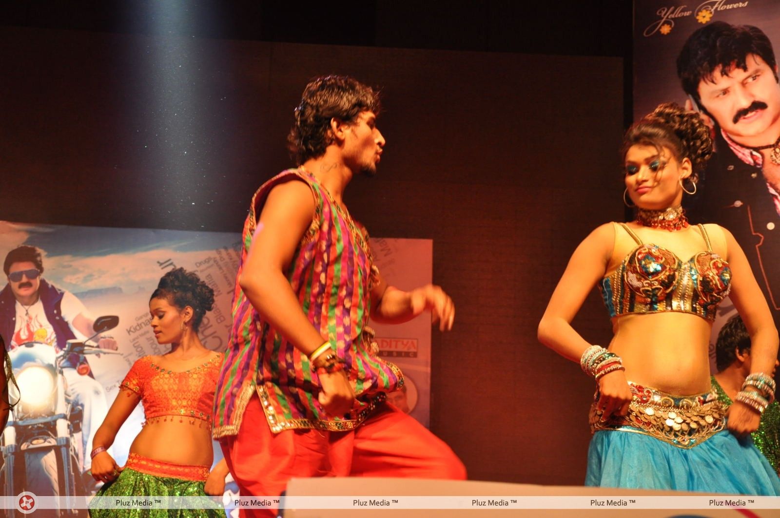 Srimannarayana Movie Audio Release Pictures | Picture 244734