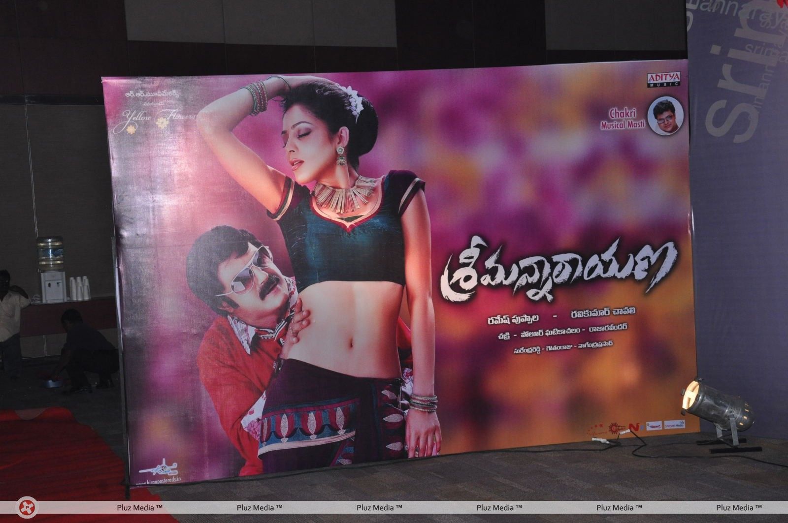 Srimannarayana Movie Audio Release Pictures | Picture 244740