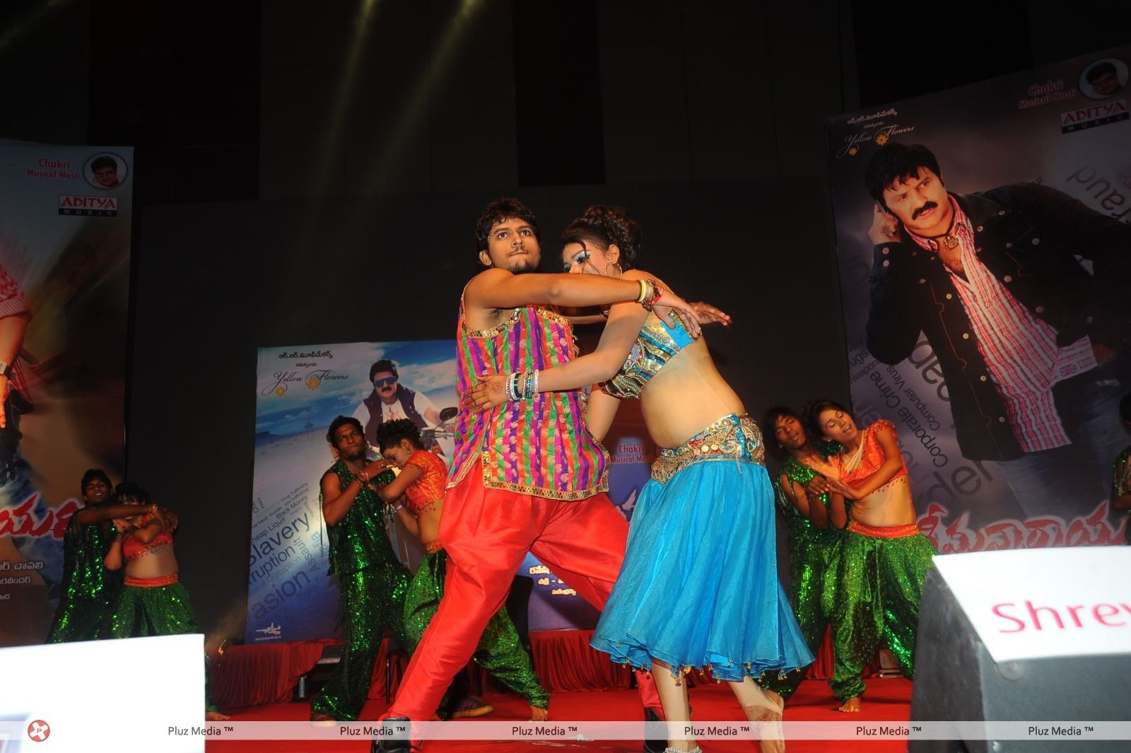 Srimannarayana Movie Audio Release Pictures | Picture 244743