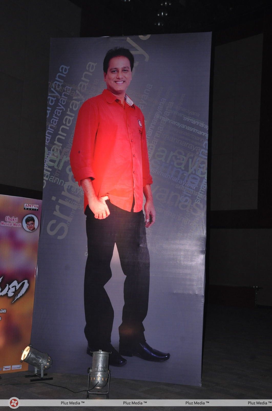 Srimannarayana Movie Audio Release Pictures | Picture 244752