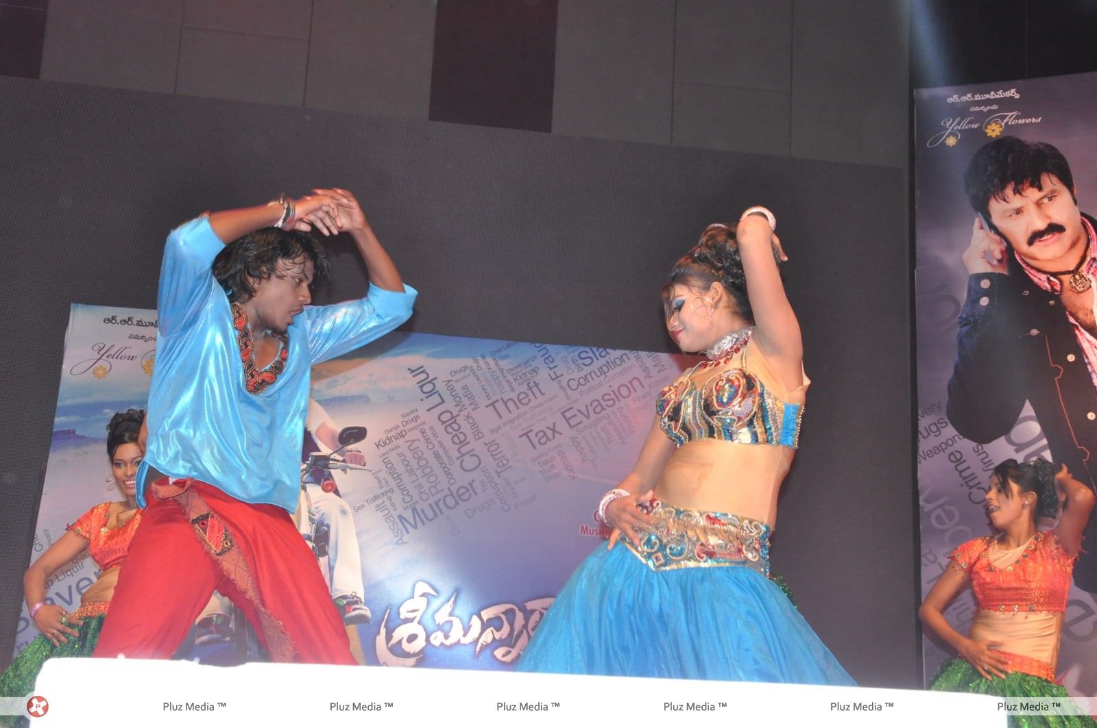 Srimannarayana Movie Audio Release Pictures | Picture 244757