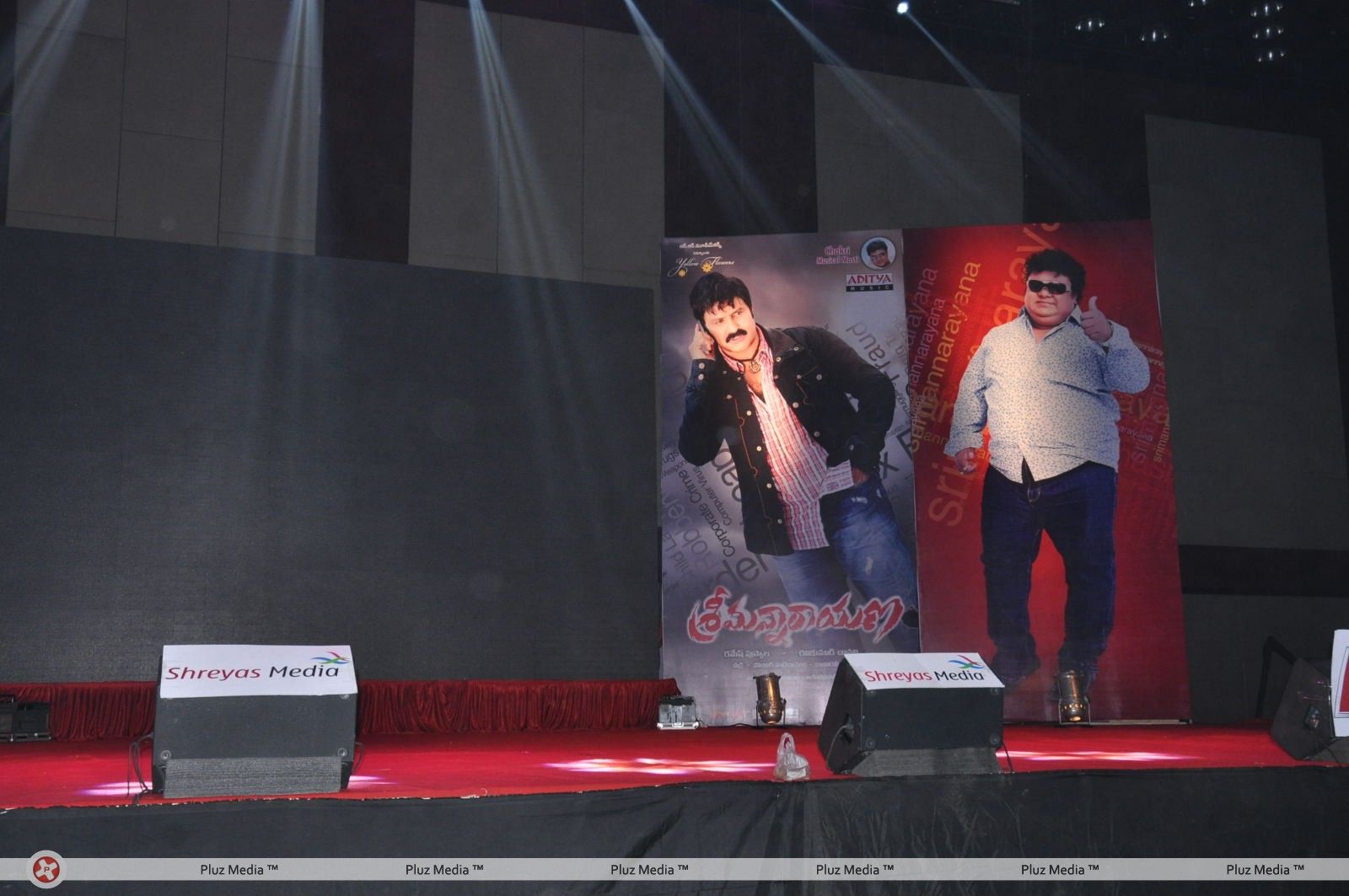 Srimannarayana Movie Audio Release Pictures | Picture 244767