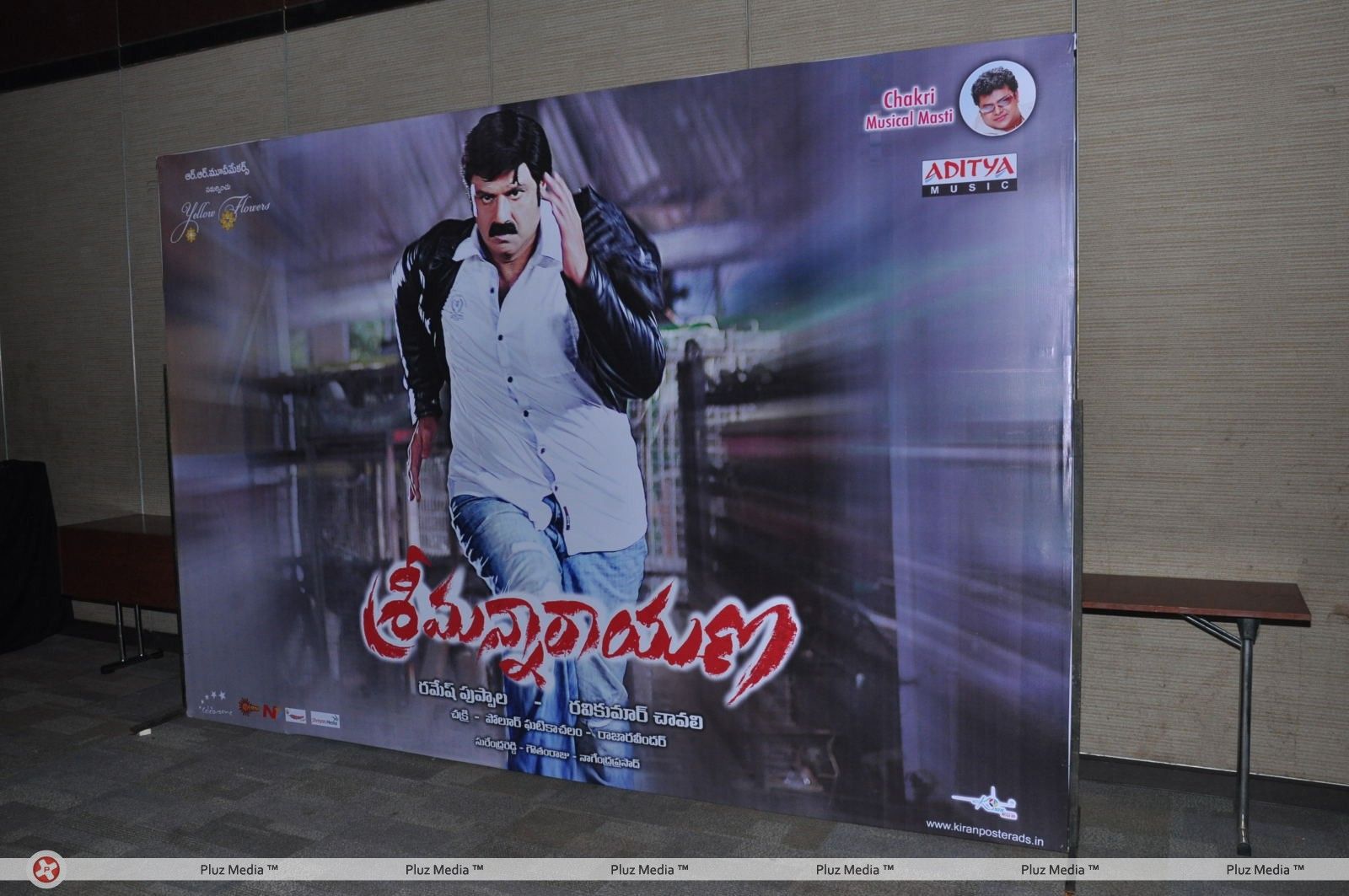 Srimannarayana Movie Audio Release Pictures | Picture 244770