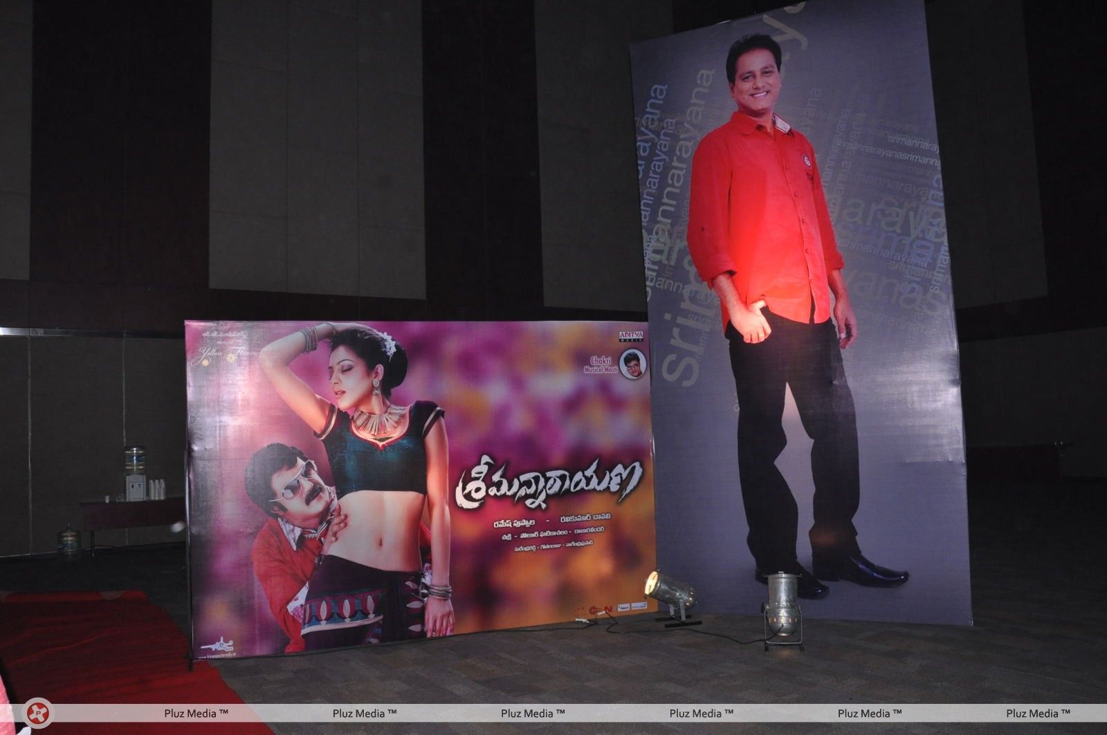 Srimannarayana Movie Audio Release Pictures | Picture 244772